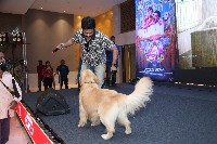 Slumdog Husband Movie Press Meet